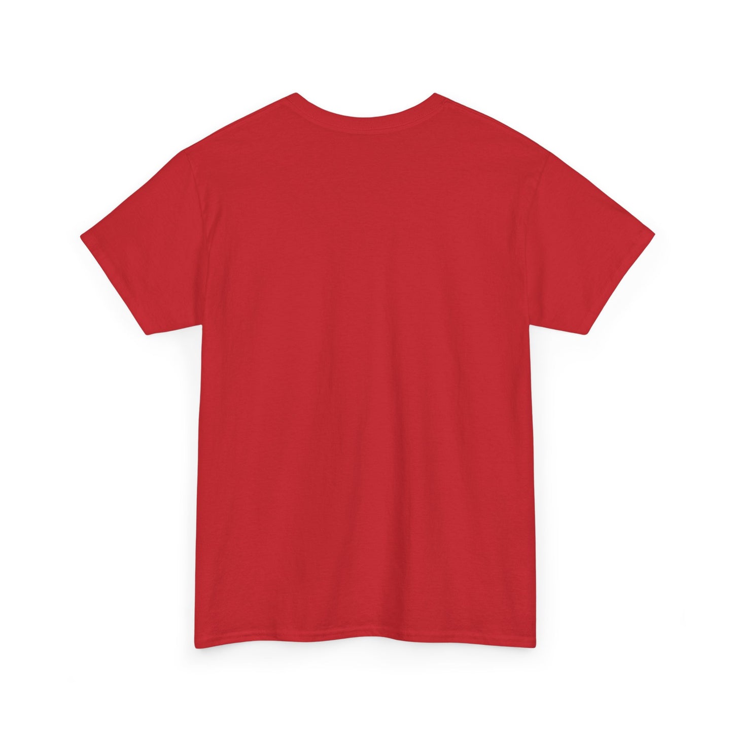 Manifesting Millions- Heavy Cotton T-Shirt