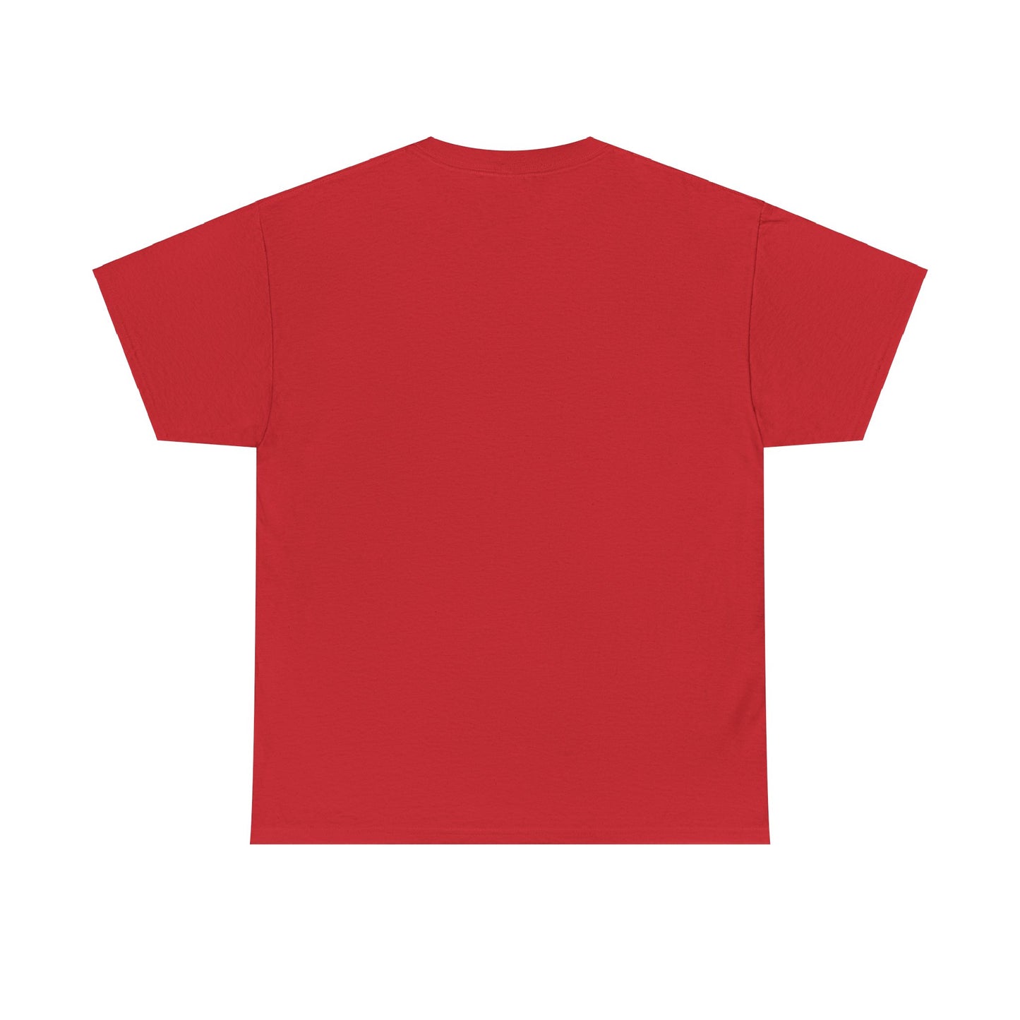 Manifesting Millions- Heavy Cotton T-Shirt