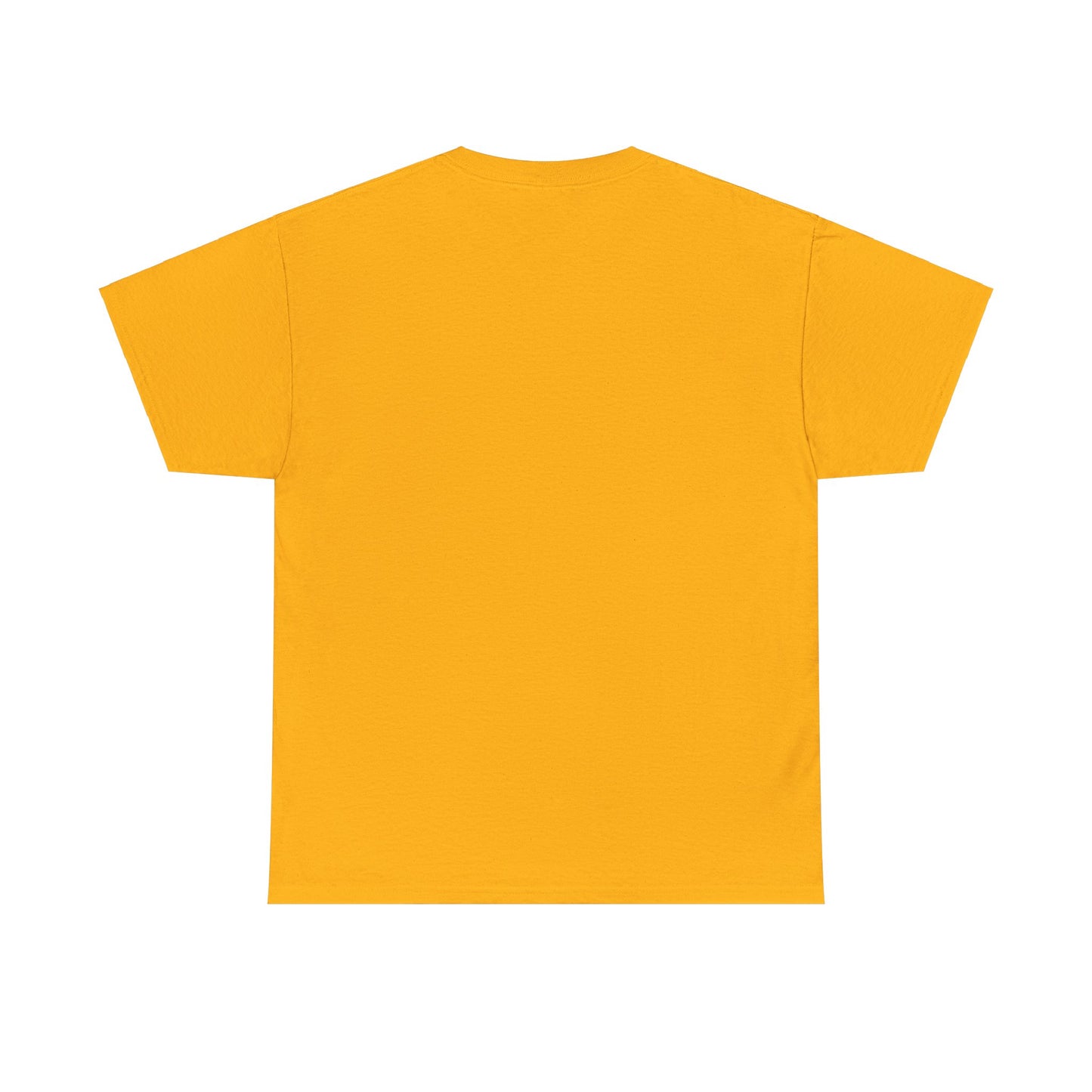 Manifesting Millions- Heavy Cotton T-Shirt