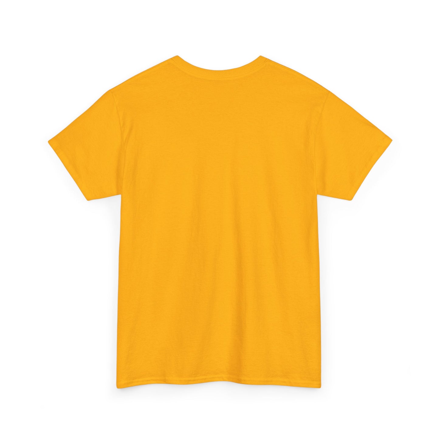 Manifesting Millions- Heavy Cotton T-Shirt