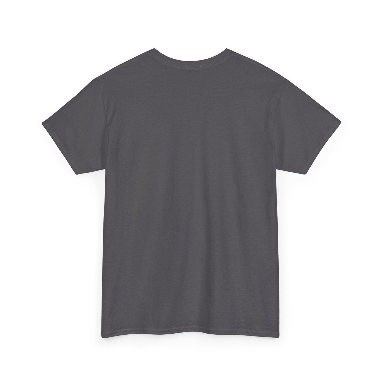 Manifesting Millions- Heavy Cotton T-Shirt